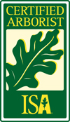 certified arborists in Portland ORegon, Estacada, Gresham, Clackamas