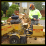 stump grinding and stump removal Milwaukie