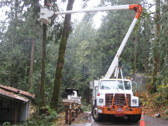 Oregon Tree Care Contractor Specialists
